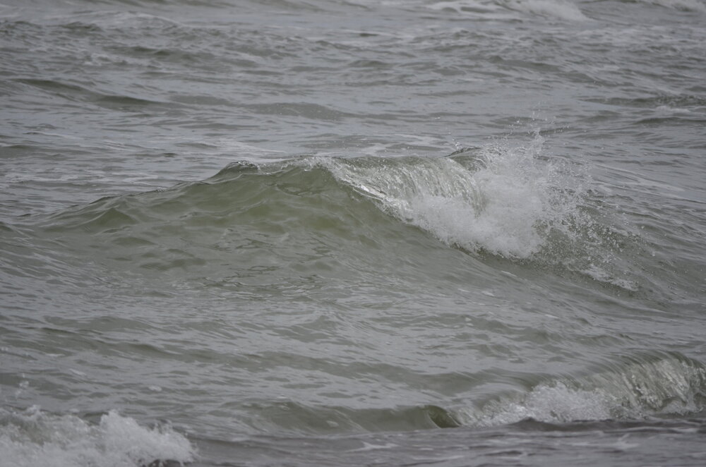 DSC_8306.JPG