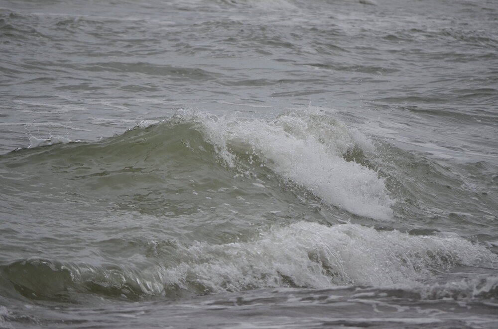 DSC_8307.JPG