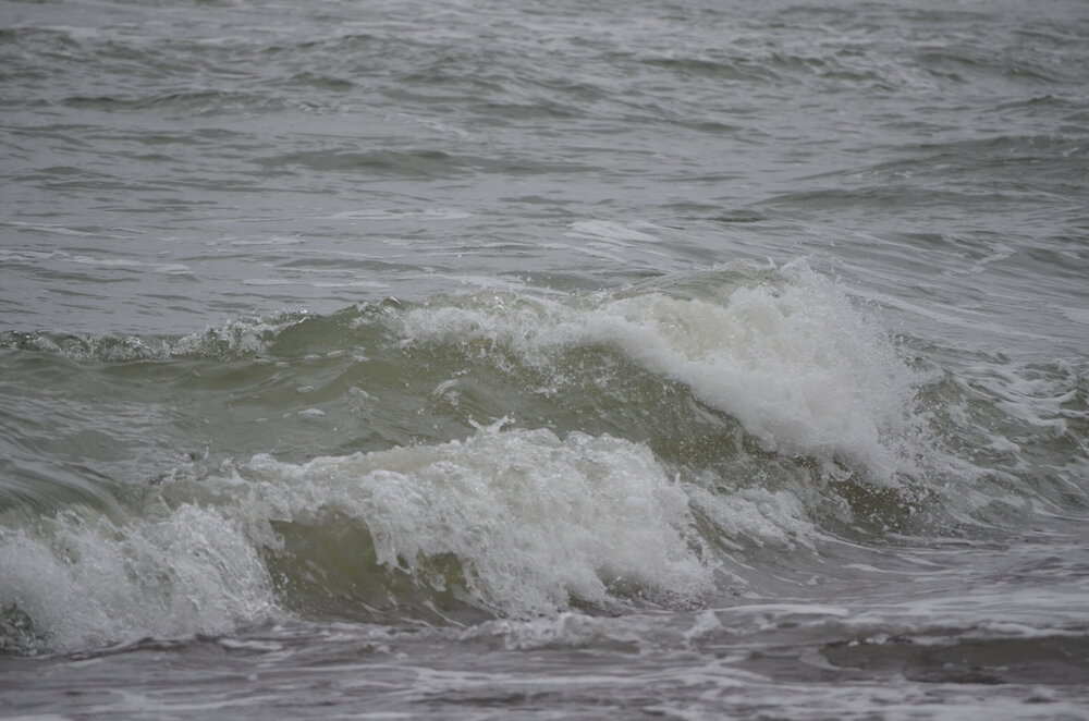 DSC_8308.JPG