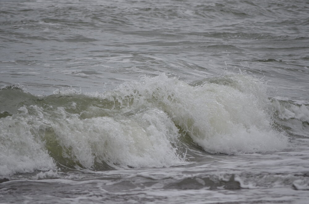 DSC_8309.JPG