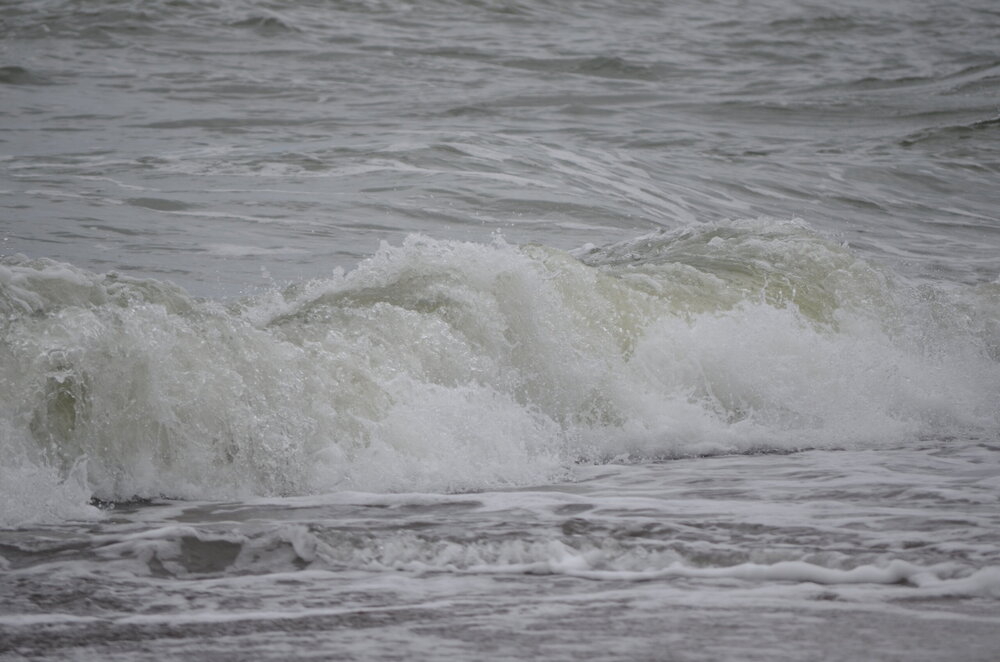 DSC_8310.JPG
