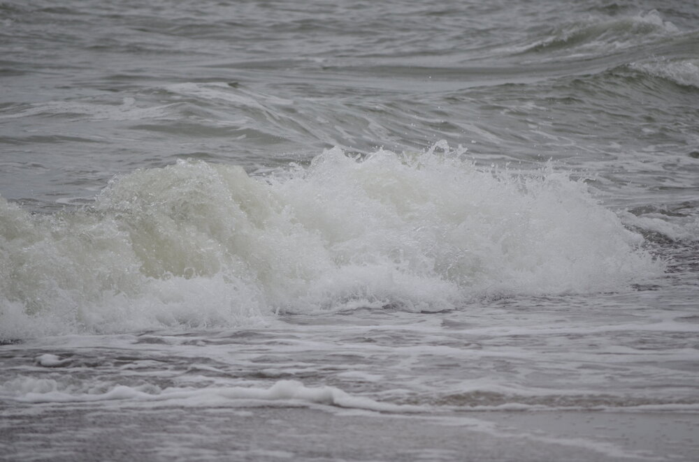 DSC_8311.JPG