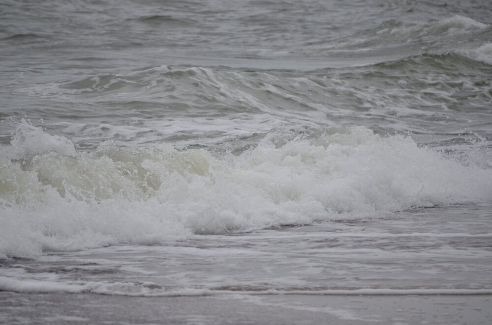 DSC_8312.JPG