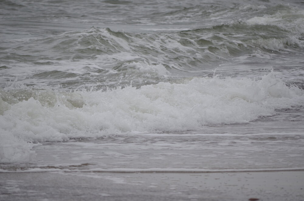 DSC_8313.JPG