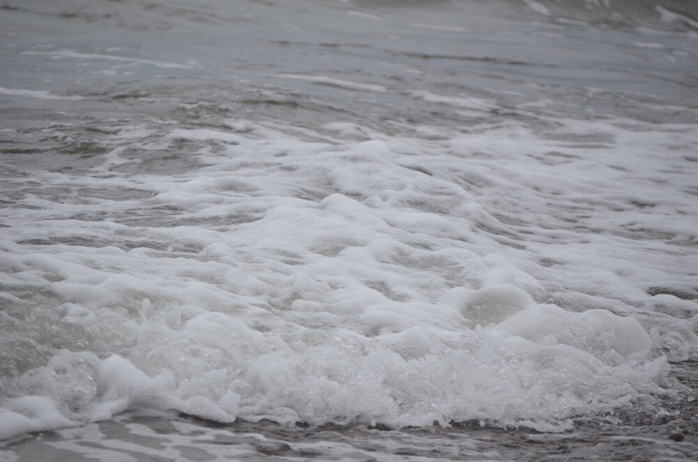 DSC_8315.JPG