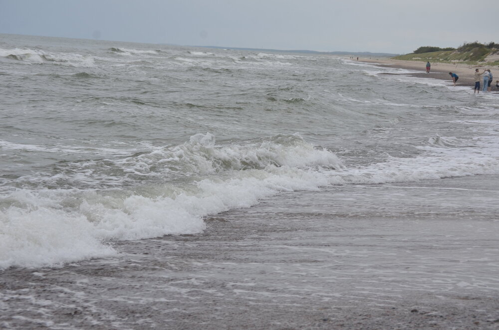 DSC_8371.JPG