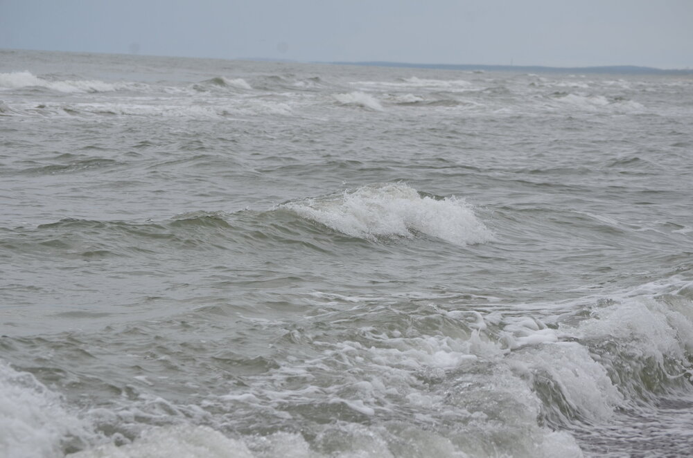 DSC_8412.JPG