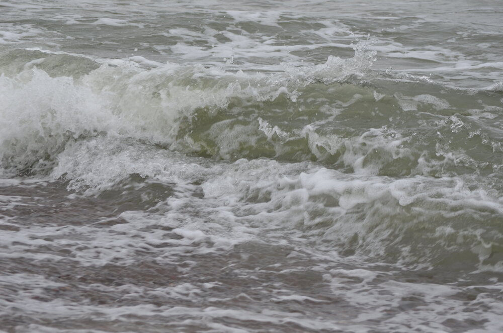 DSC_8440.JPG