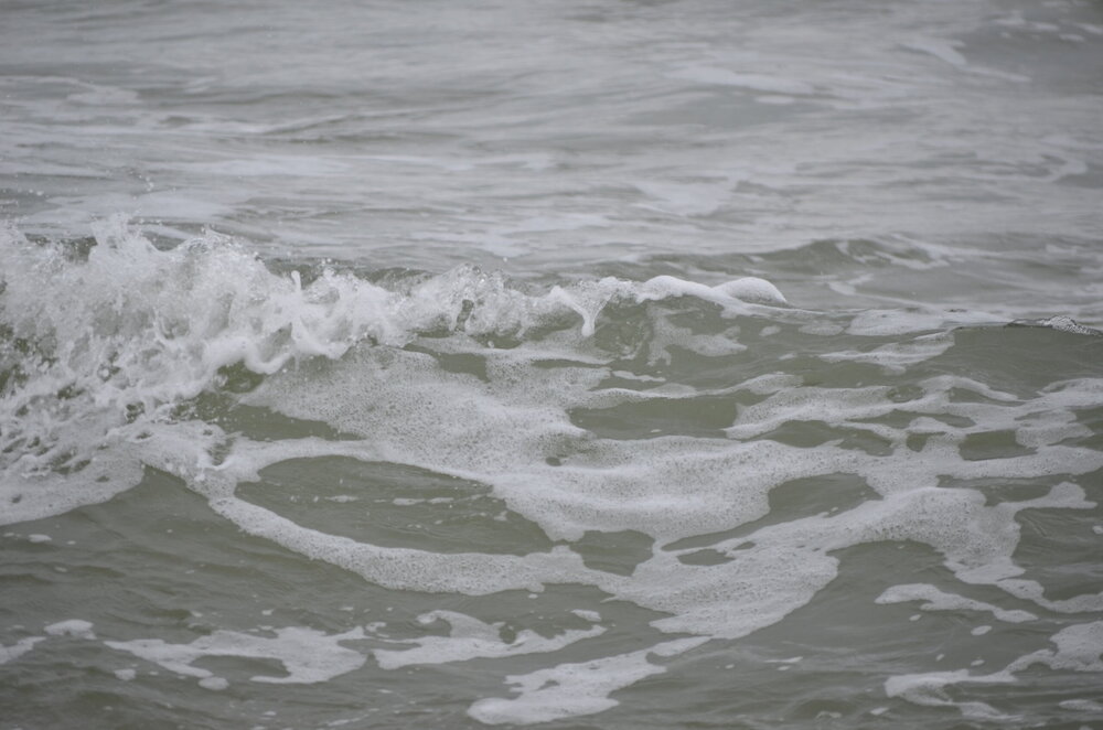 DSC_8458.JPG