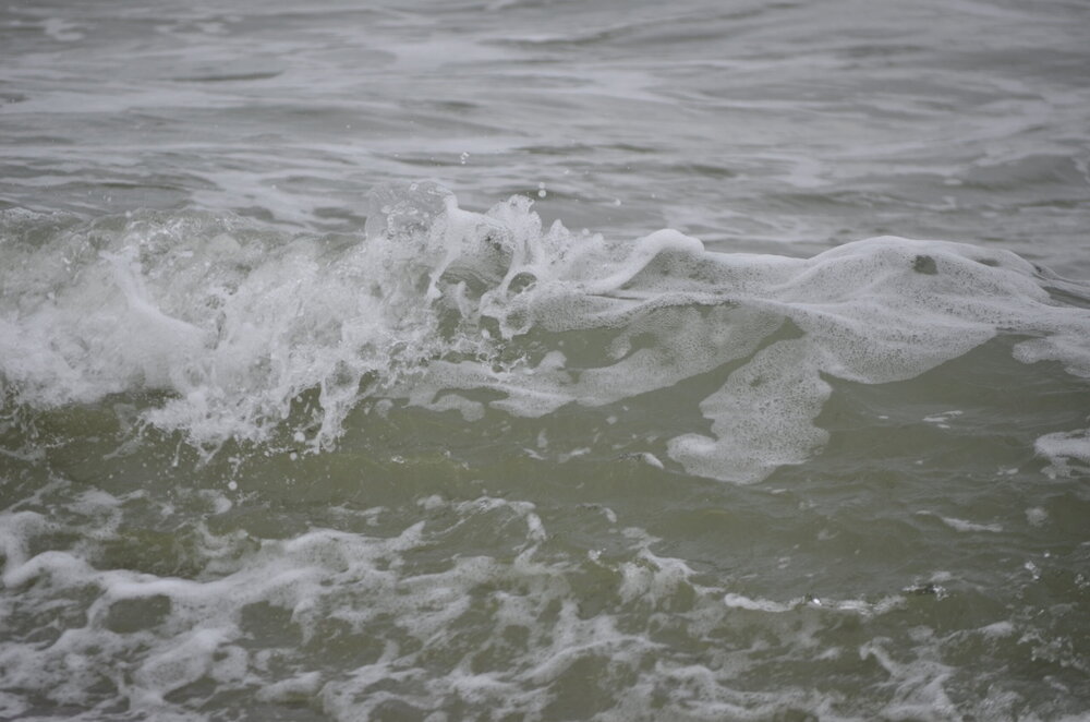 DSC_8459.JPG