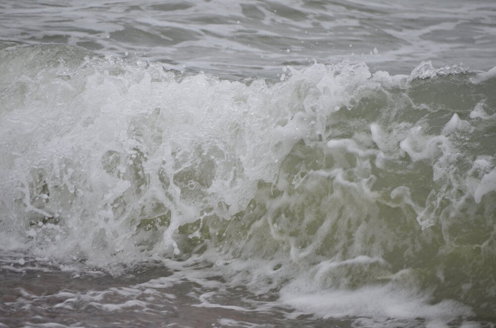 DSC_8460.JPG
