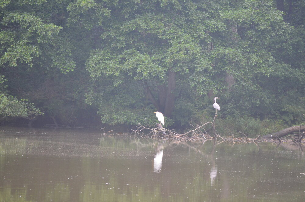 DSC_8471.JPG