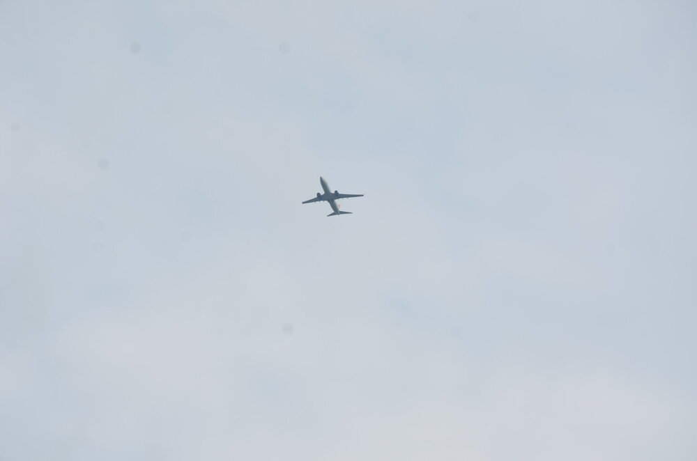 DSC_8653.JPG