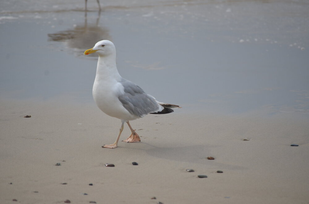DSC_8706.JPG