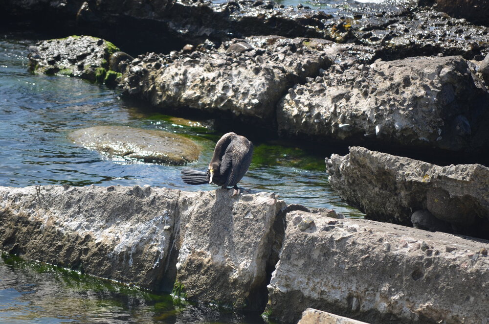 DSC_8798.JPG