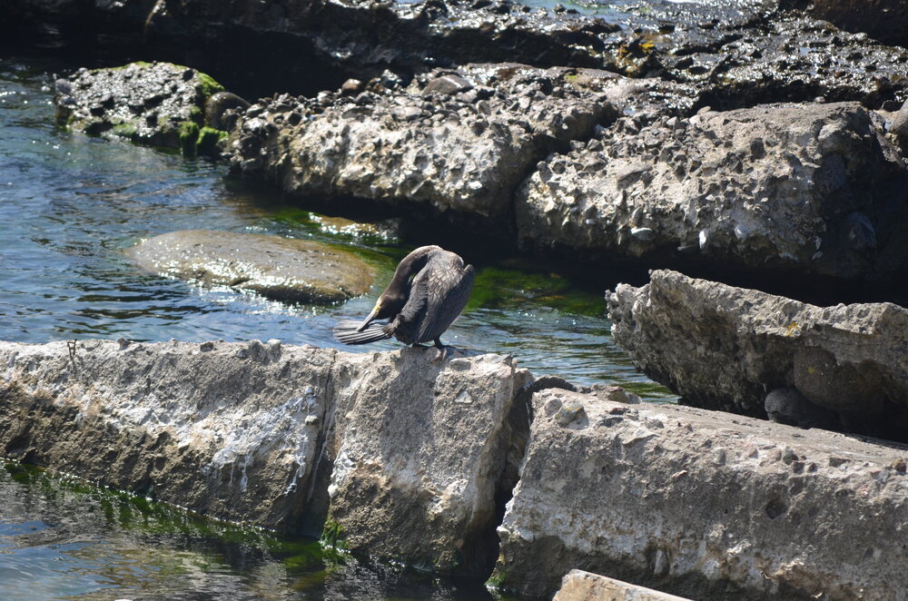 DSC_8799.JPG