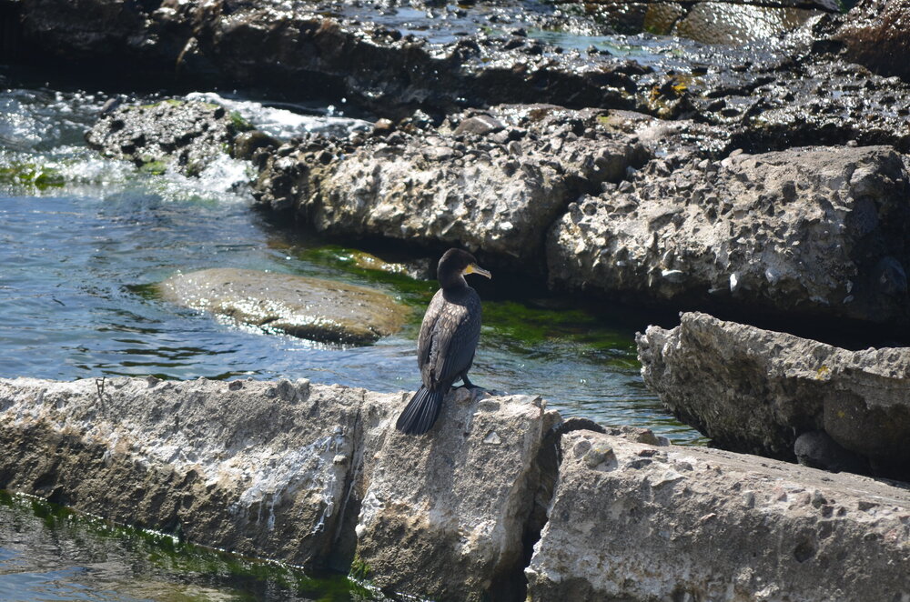 DSC_8801.JPG
