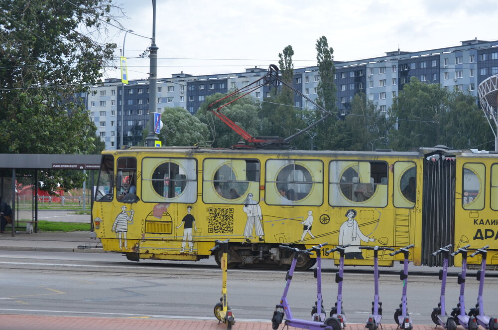 DSC_8819.JPG