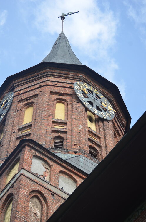 DSC_8881.JPG