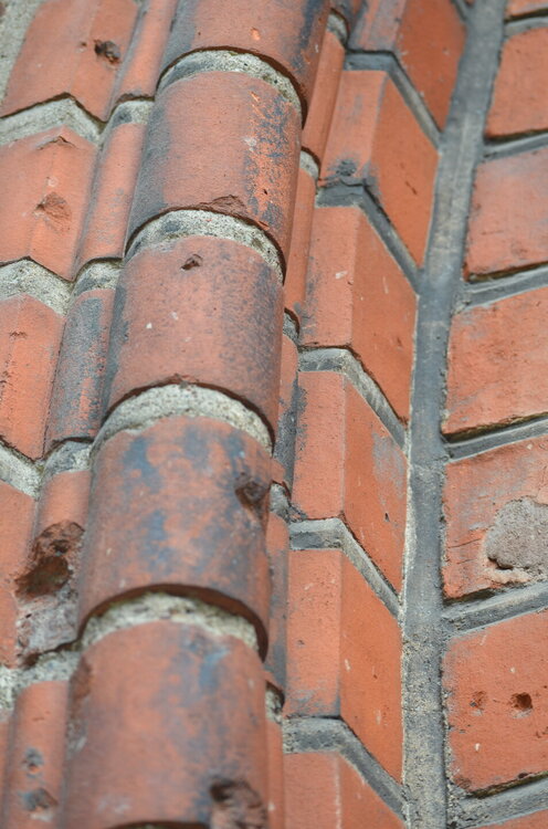 DSC_8883.JPG
