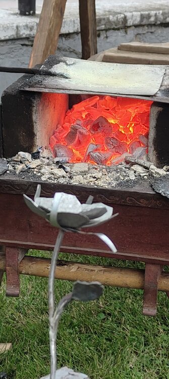 IMG20260711122122.jpg