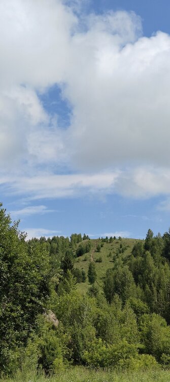 IMG20260712111737.jpg