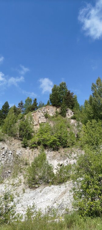 IMG20260712112343.jpg