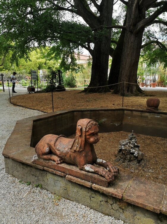 IMG_20260504_154900.jpg