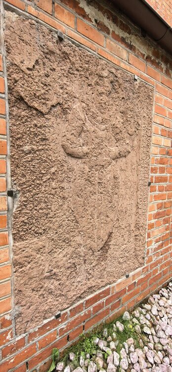 IMG_20260719_095719.jpg
