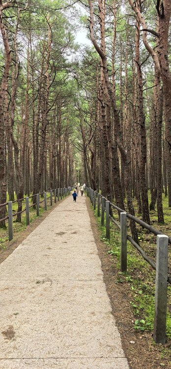 IMG_20260722_104256.jpg