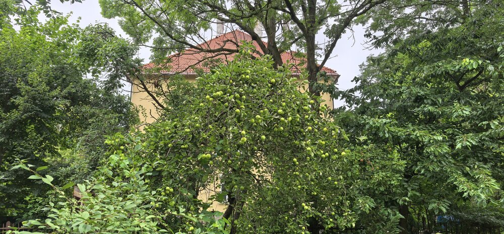 IMG_20260723_091603.jpg