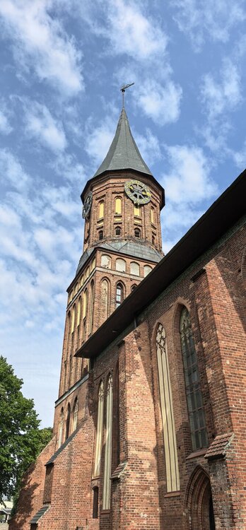 IMG_20260725_091442.jpg