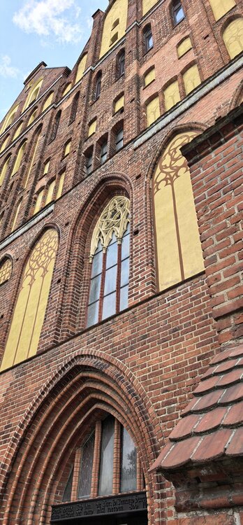 IMG_20260725_091930.jpg
