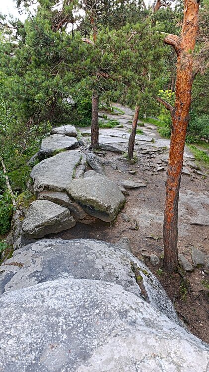 ________IMG_20260612_184534.jpg