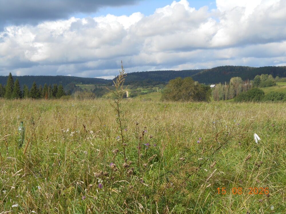 DSCN7069.JPG