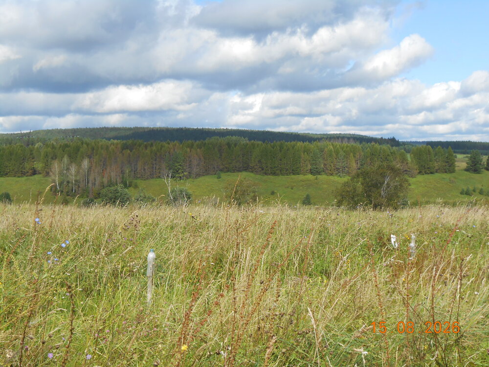 DSCN7070.JPG