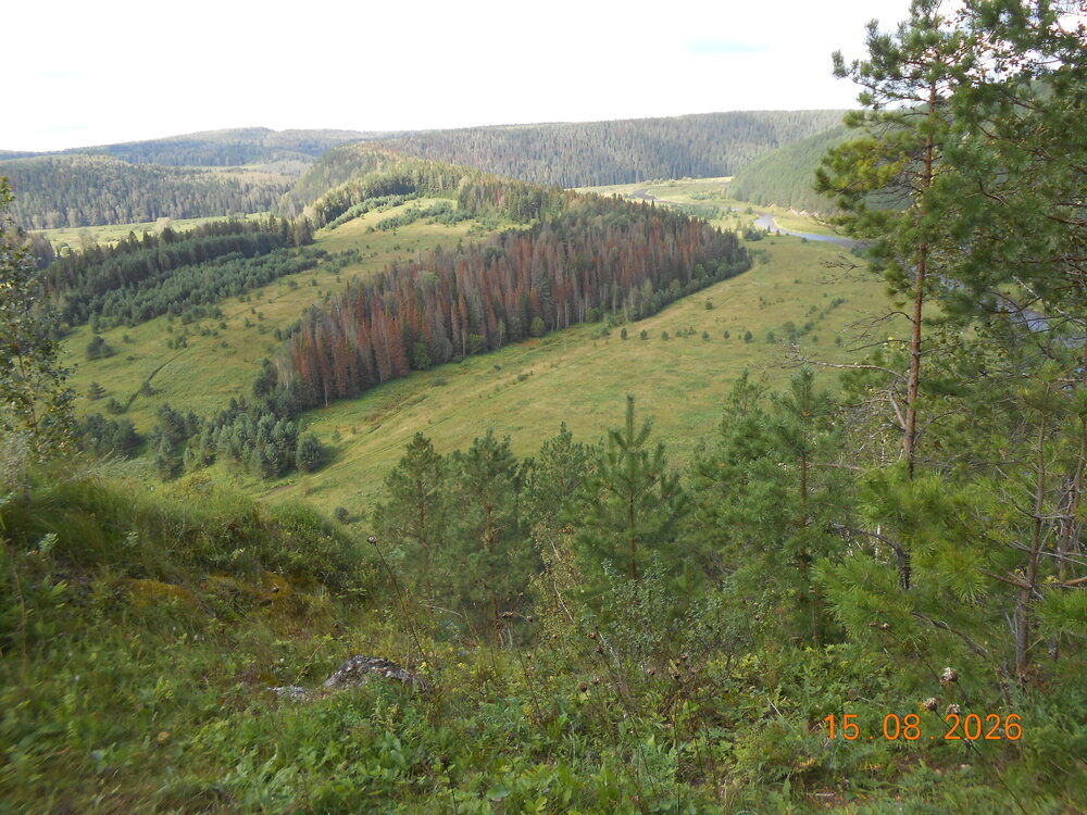 DSCN7071.JPG