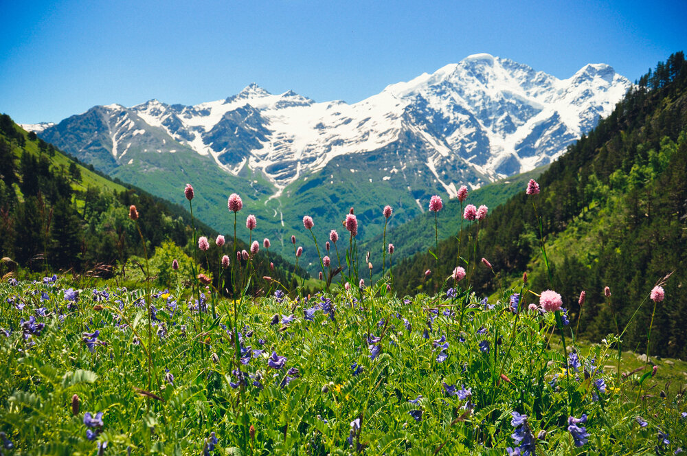 Elbrus_shutterstock_1960801291.jpg