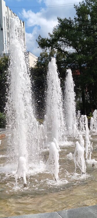 IMG20260814113032.jpg