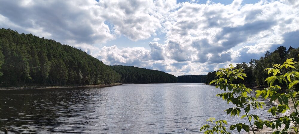 IMG20260815135154.jpg