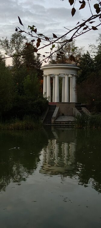 IMG20260815210719.jpg