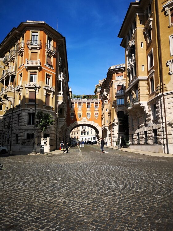 IMG_20260507_083800.jpg