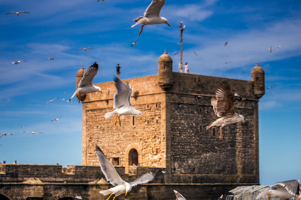 shutterstock_1771155911-1.jpg