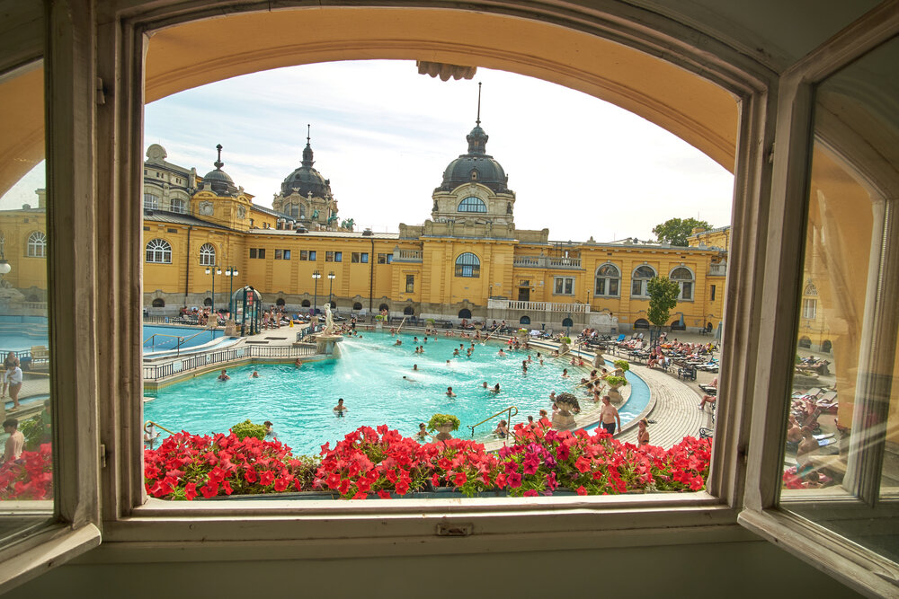 shutterstock_2029745945-1.jpg