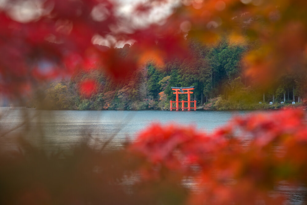 shutterstock_766331227.jpg