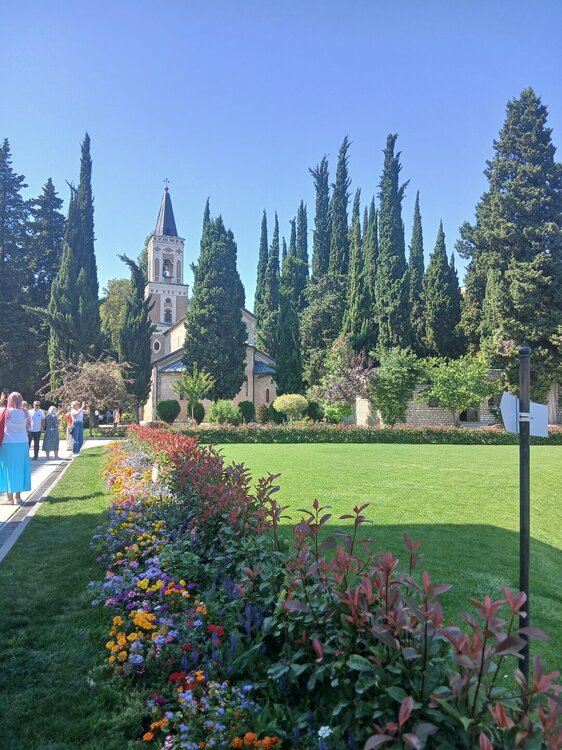 118.jpg