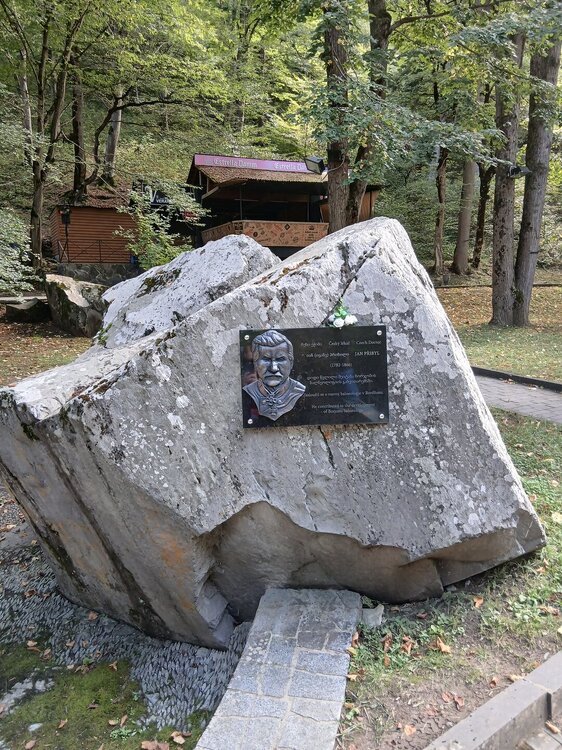 154.jpg