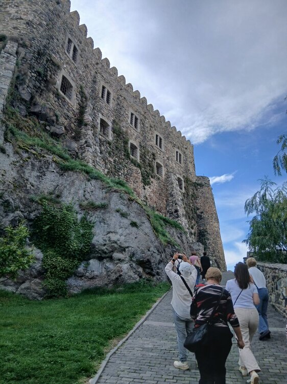 173.jpg