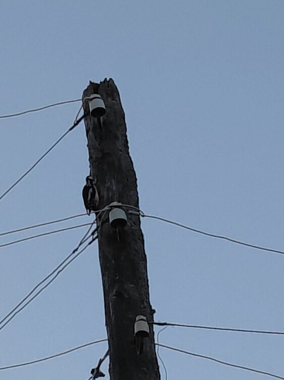20261011_163353.jpg