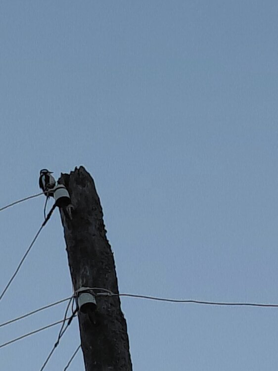 20261011_163411.jpg